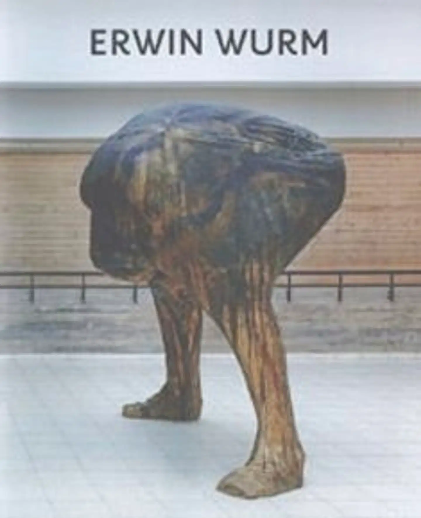 Hollein, Erwin Wurm - Disruption