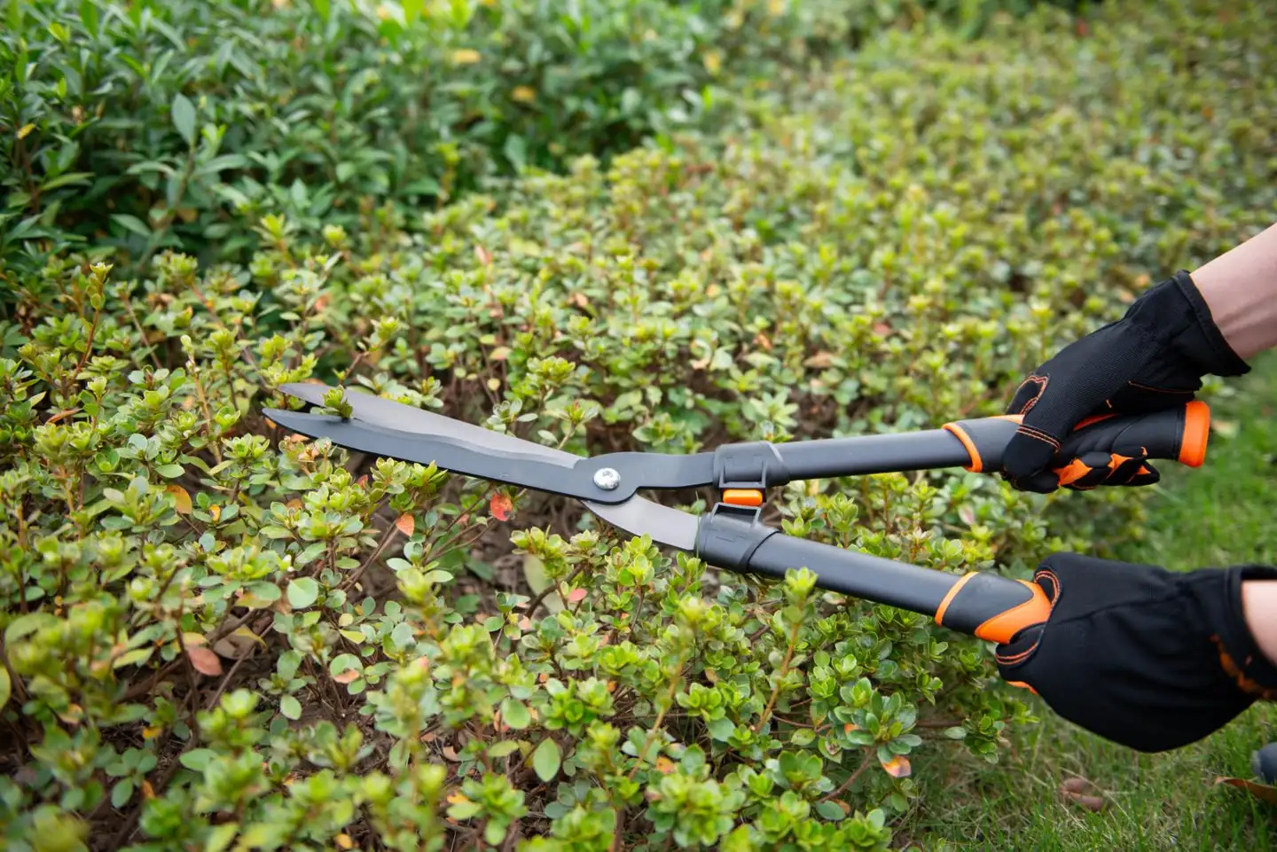 Kendo pensassakset 24"/600mm - 5