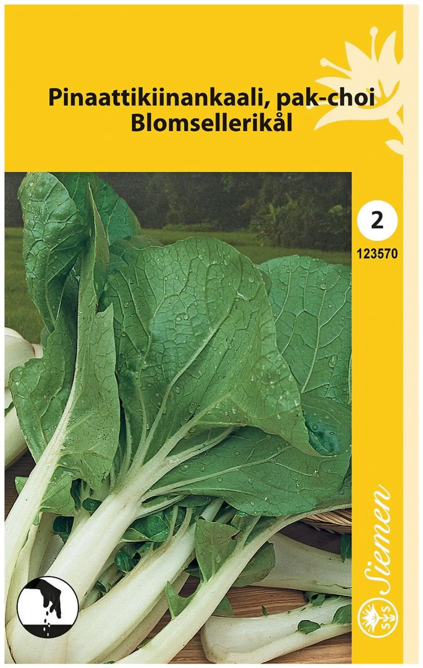 Pinaattikiinankaali Eli Pak-Choi Vihreä