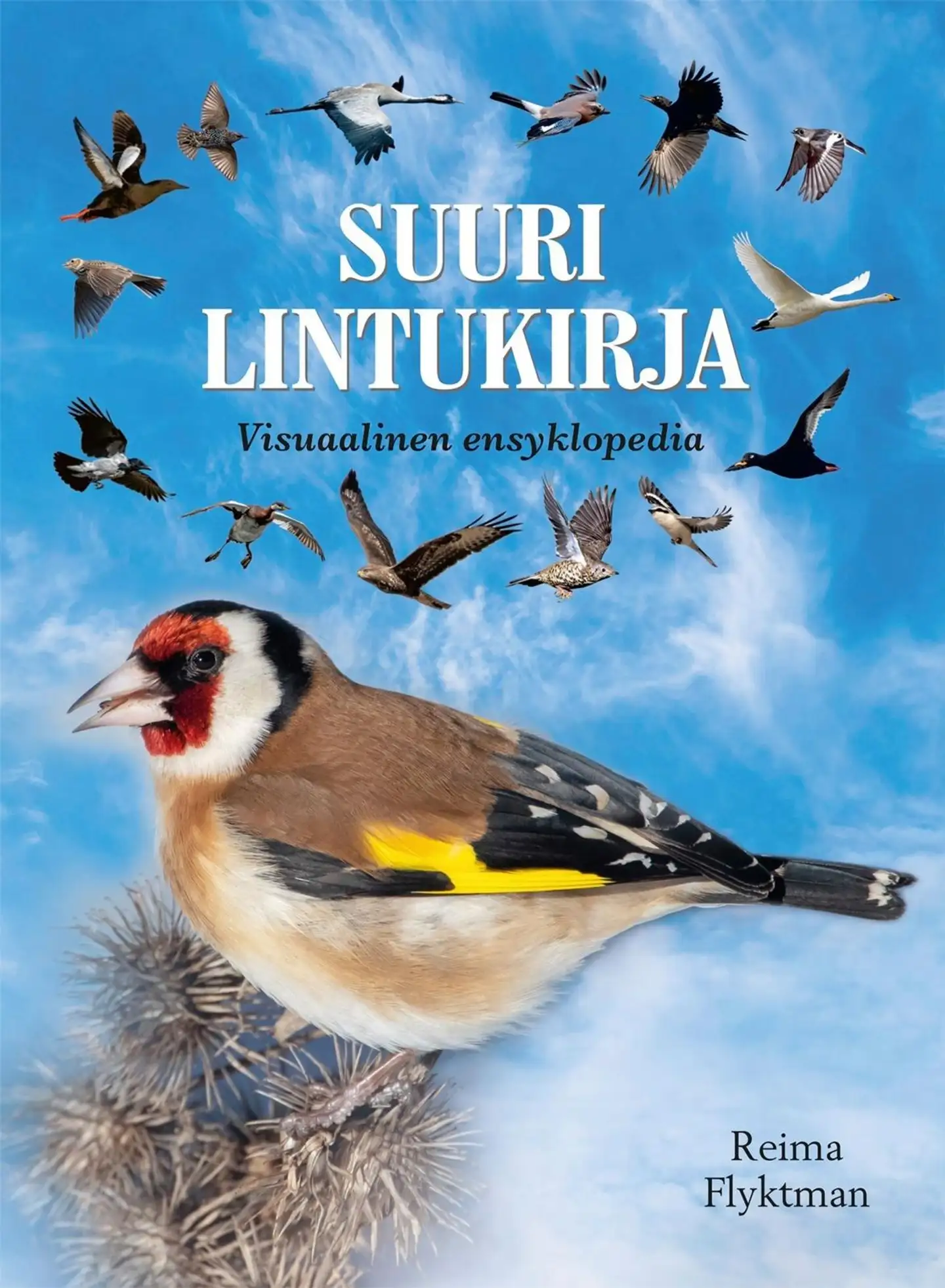 Flyktman, Suuri lintukirja - Visuaalinen ensyklopedia