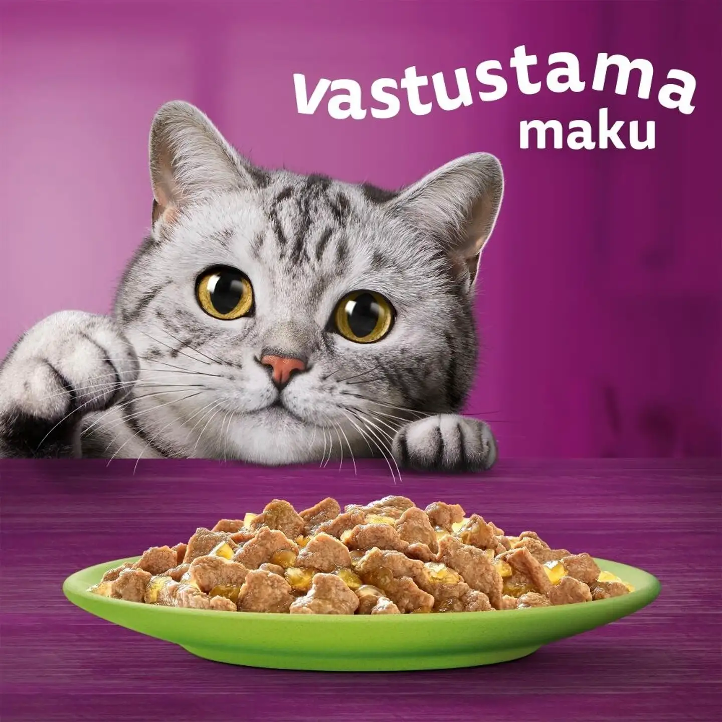 Whiskas 1+ Suosikit Lajitelma hyytelössä (12 x 85 g) - 4