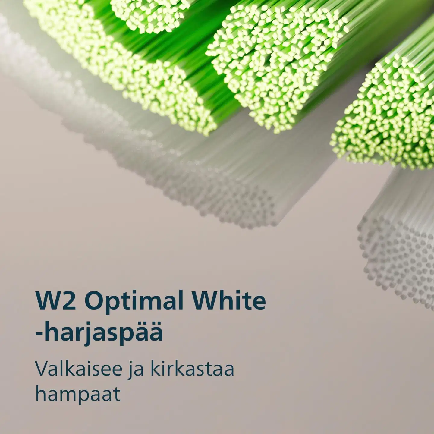 Philips Sonicare Sähköhammasharja 4100 HX4043/41 - 8