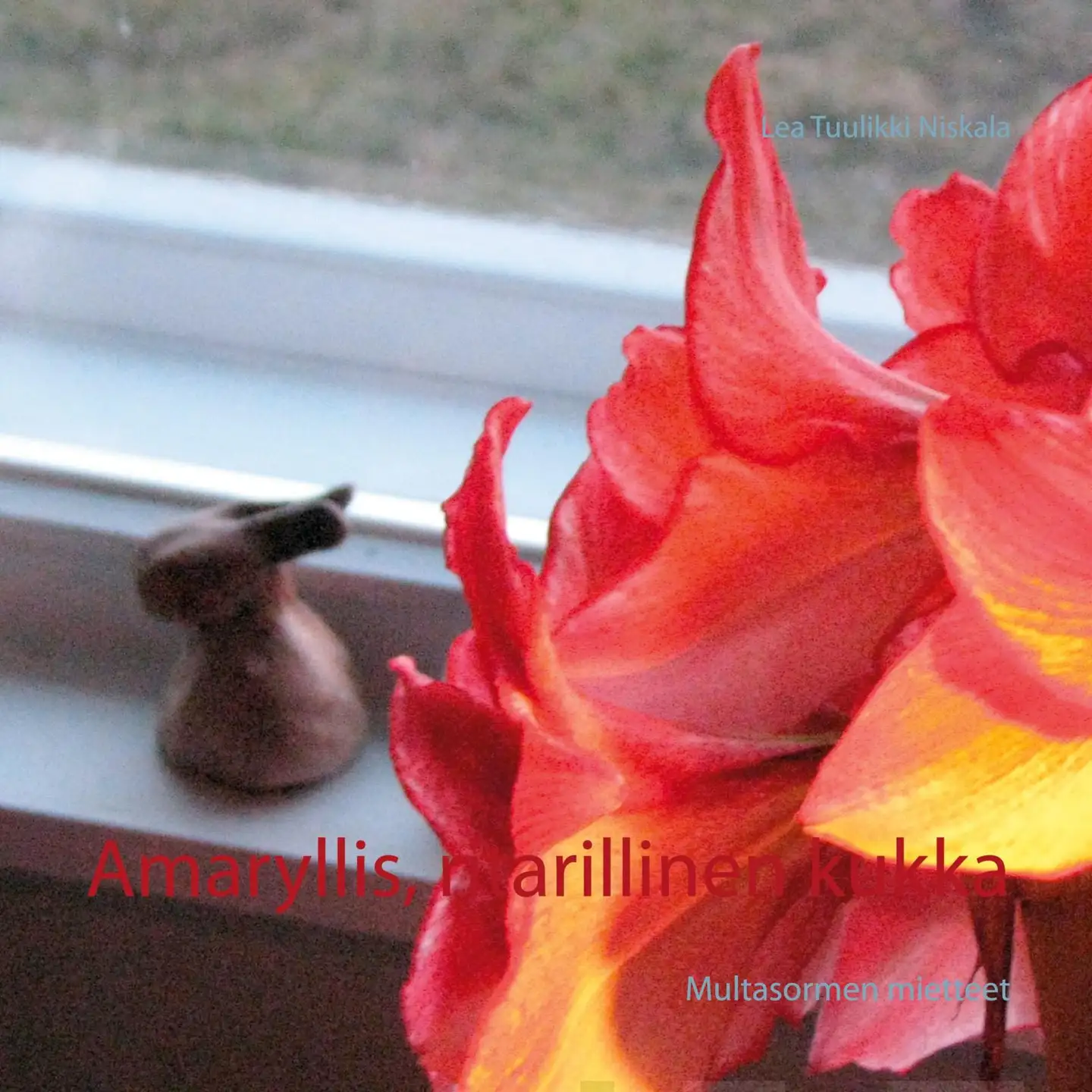 Niskala, Amaryllis, ritarillinen kukka - Multasormen mietteet