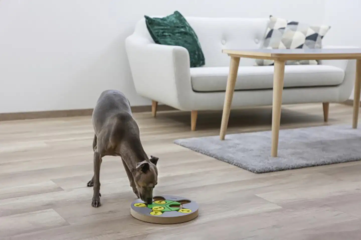 Kerbl koiran aktivointilelu pyöreä Ø25cm - 5