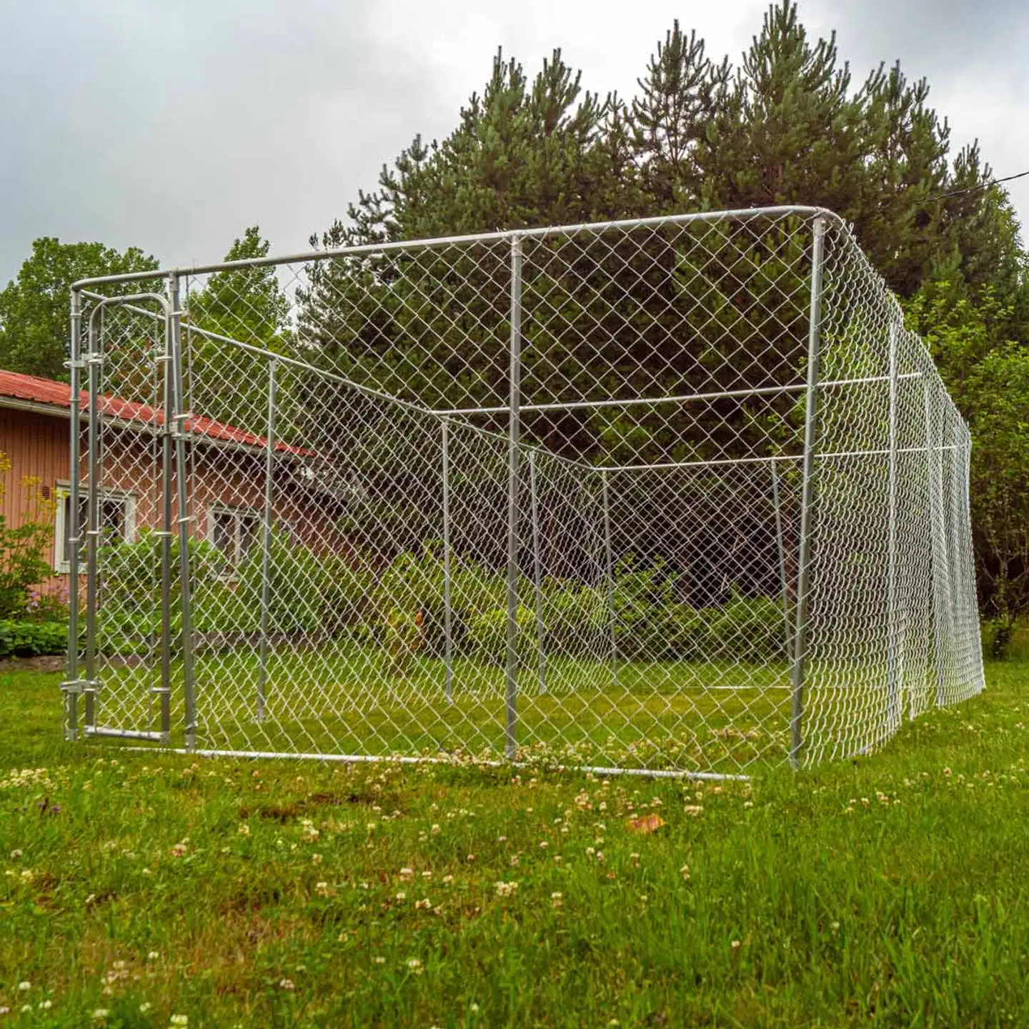 Trekker koira-aitaus 6x3 m harmaa - 4