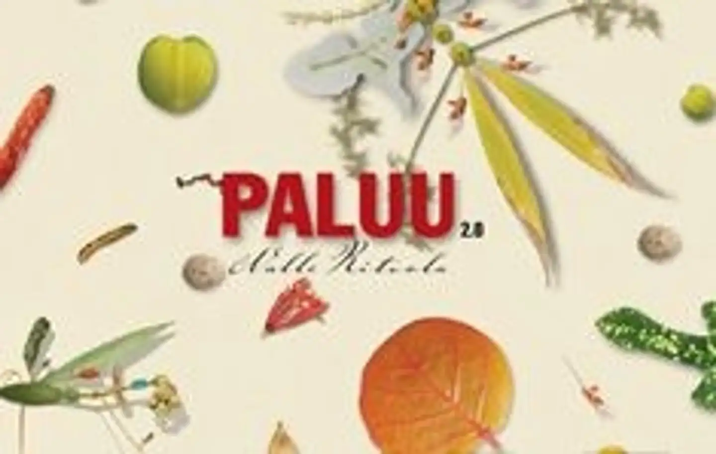 Ritvola, Paluu 2.0