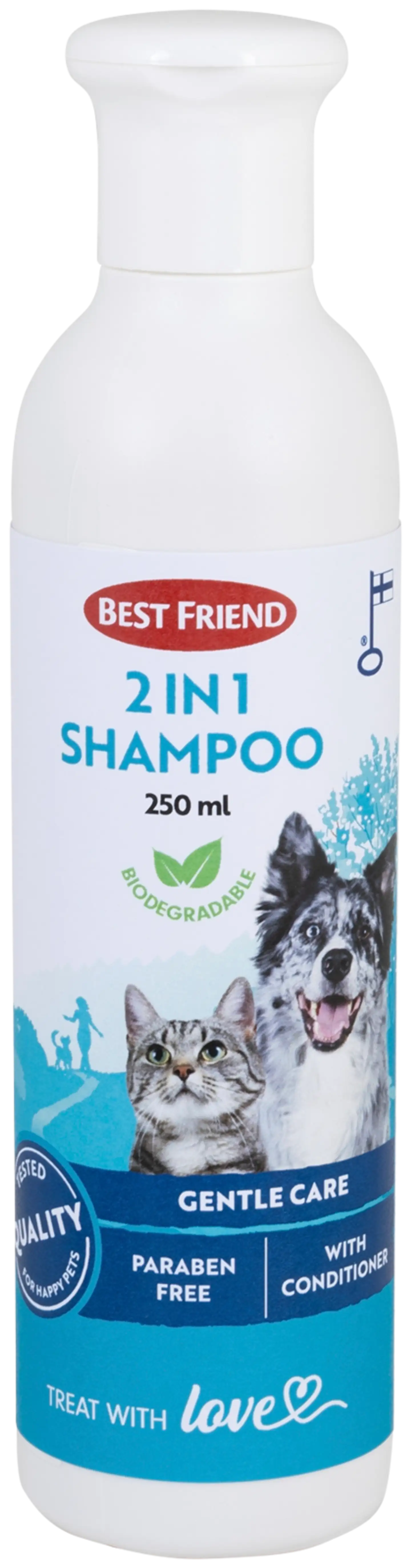 Best Friend Clean Lemmikin 2in1 shampoo 250 ml