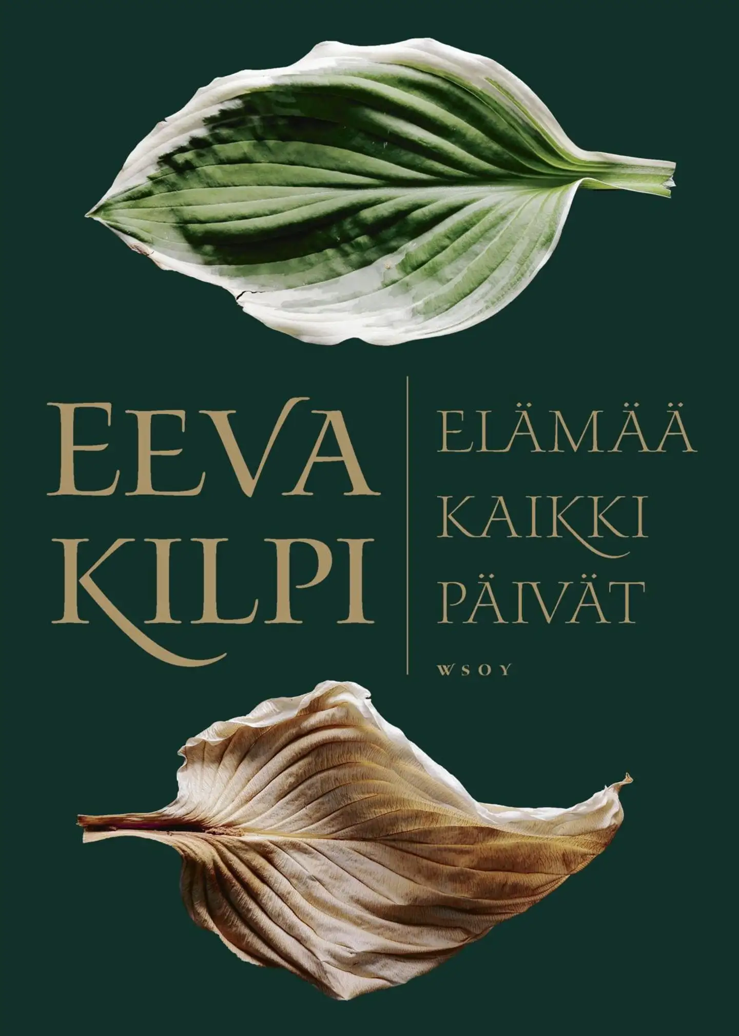 Kilpi, Elämää kaikki päivät