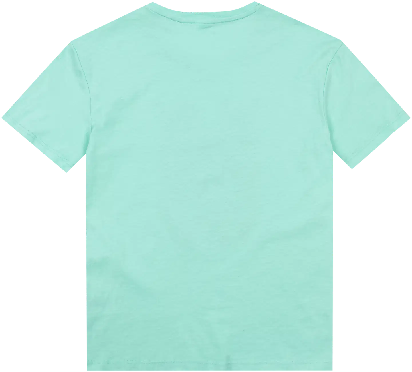 House lasten t-paita 23TH172620 - Gabbage green - 2