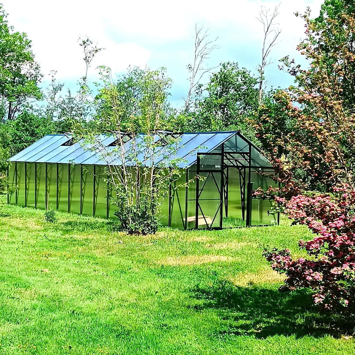 Ecoslider kasvihuone Lux 3.0 X 11.1 - 6