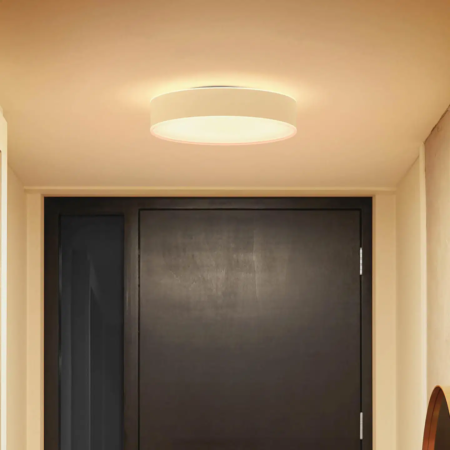 Philips Hue Enrave -kattovalaisin 19W 2200-6500K 2450LM keskikoko valkoinen - 7