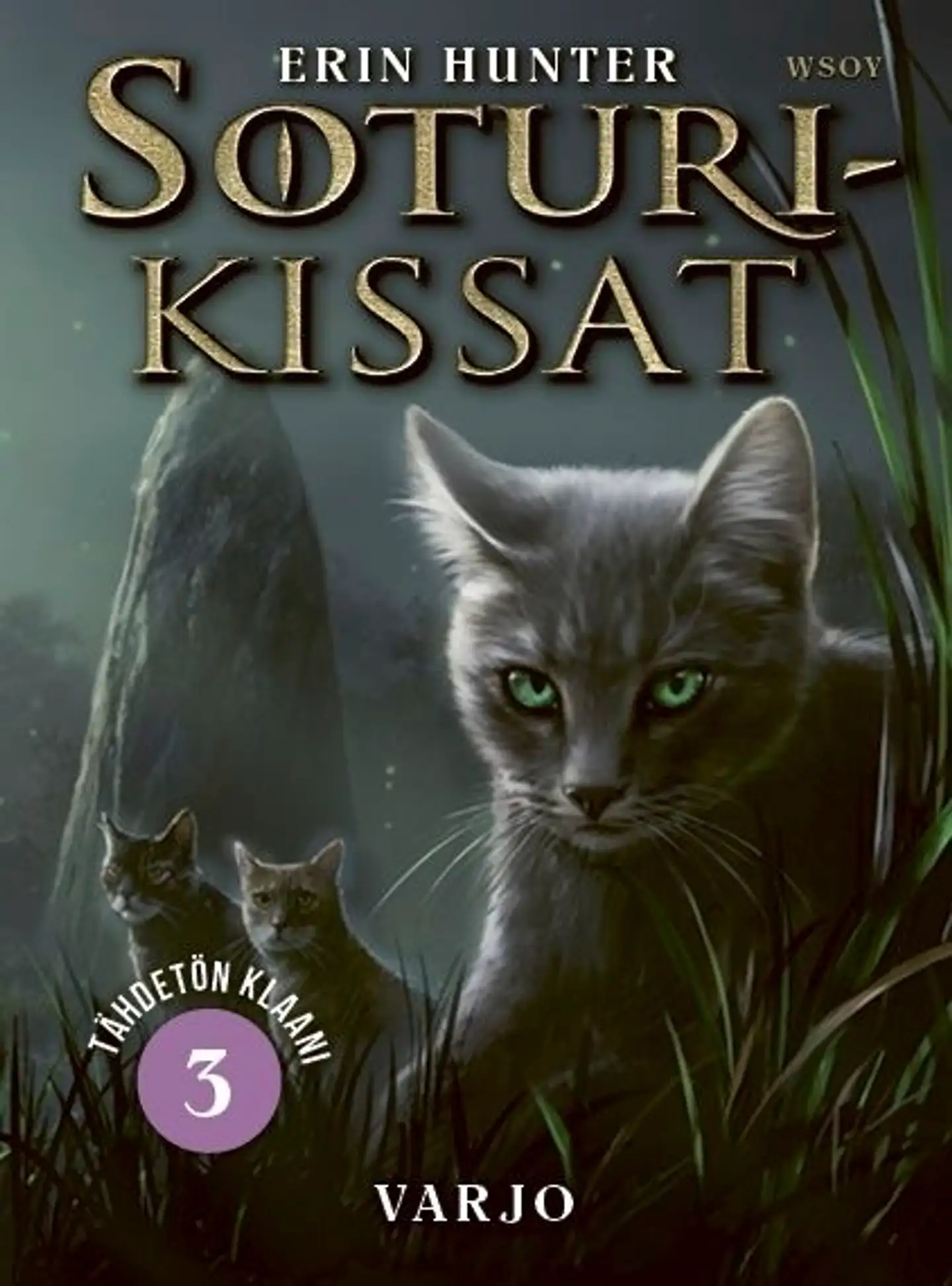 Hunter, Soturikissat: Tähdetön klaani 3: Varjo
