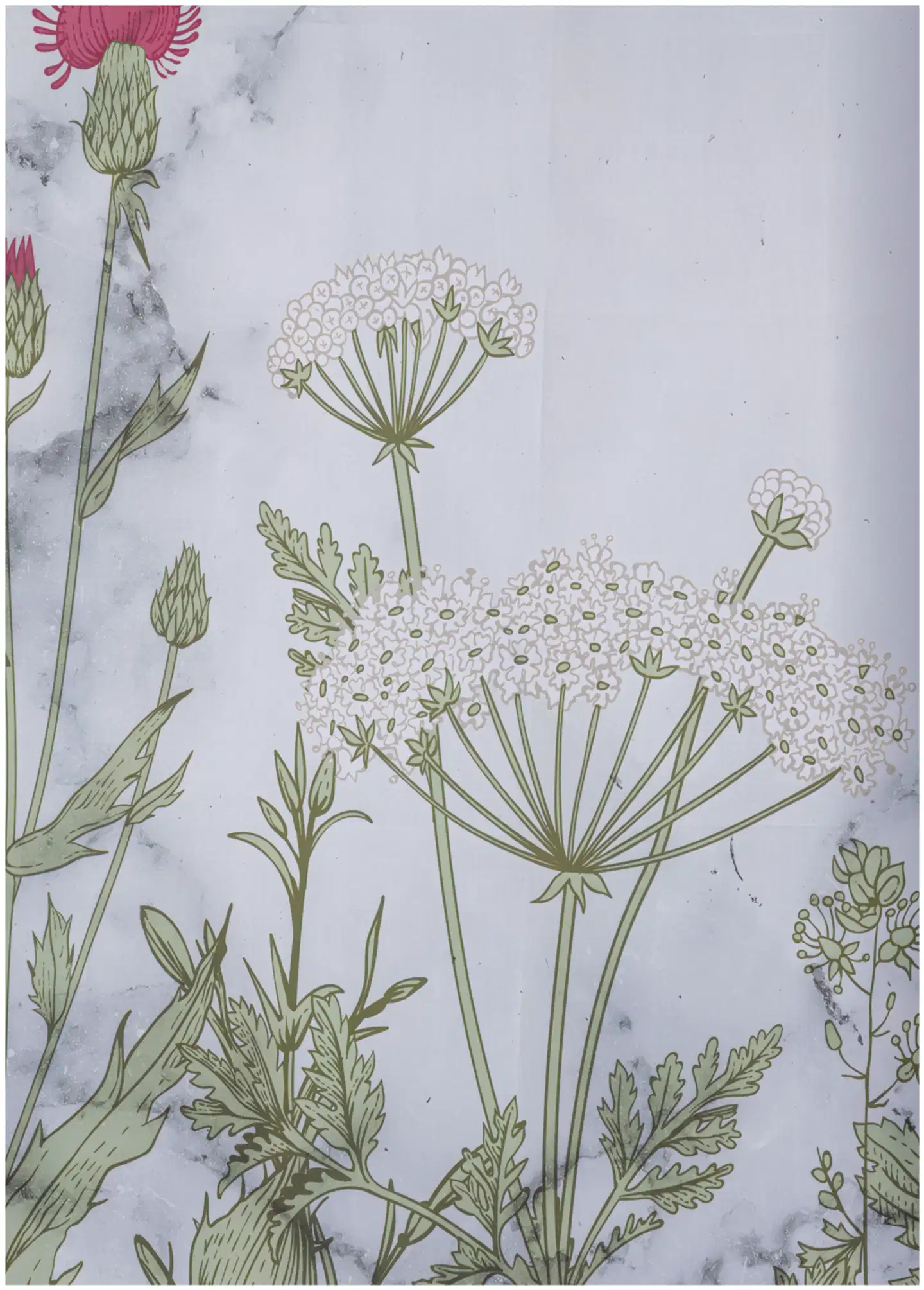 House suihkuverho Wild flowers 180x200 cm - 3