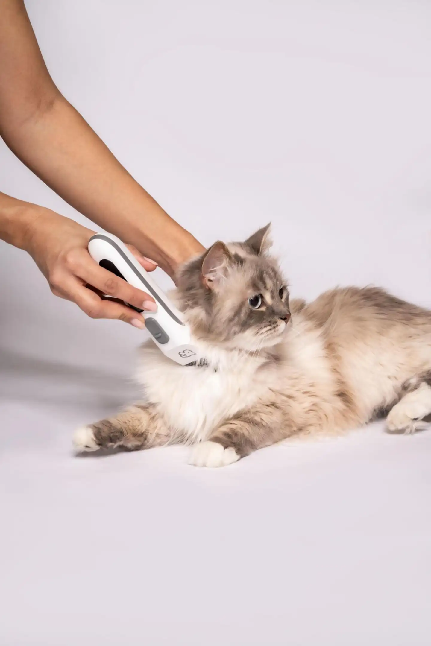 Beurer PP110 Fluffy lemmikin trimmeri - 10