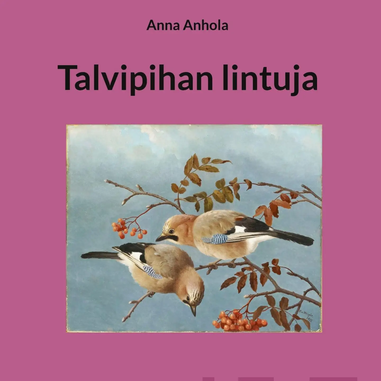 Anhola, Talvipihan lintuja