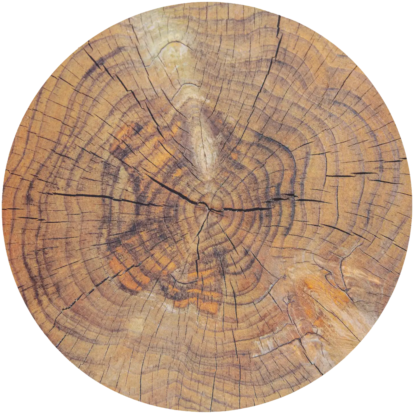 House kattaustabletti Wood log 38 cm, ruskea