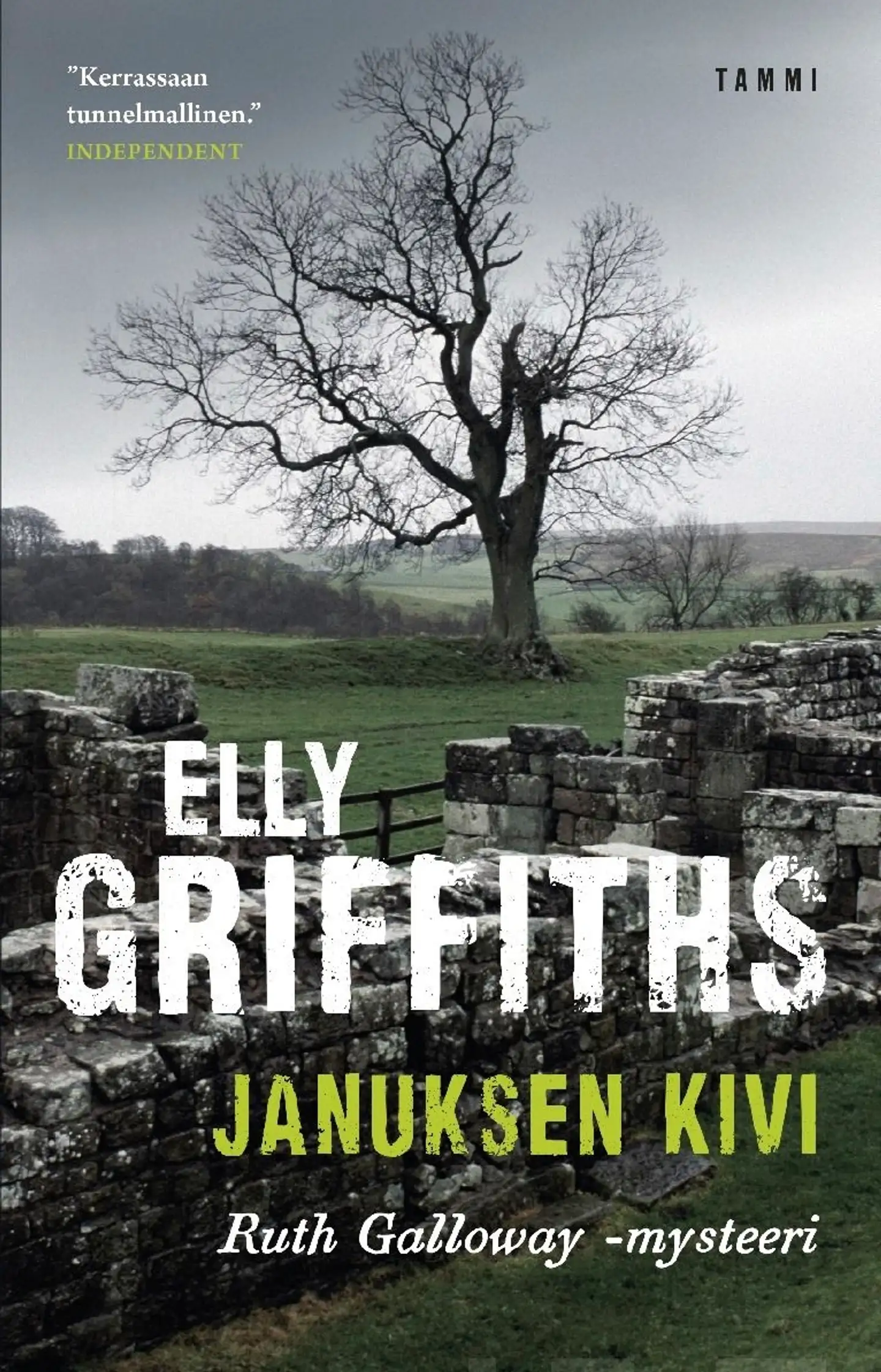 Griffiths, Januksen kivi - Ruth Galloway -mysteeri