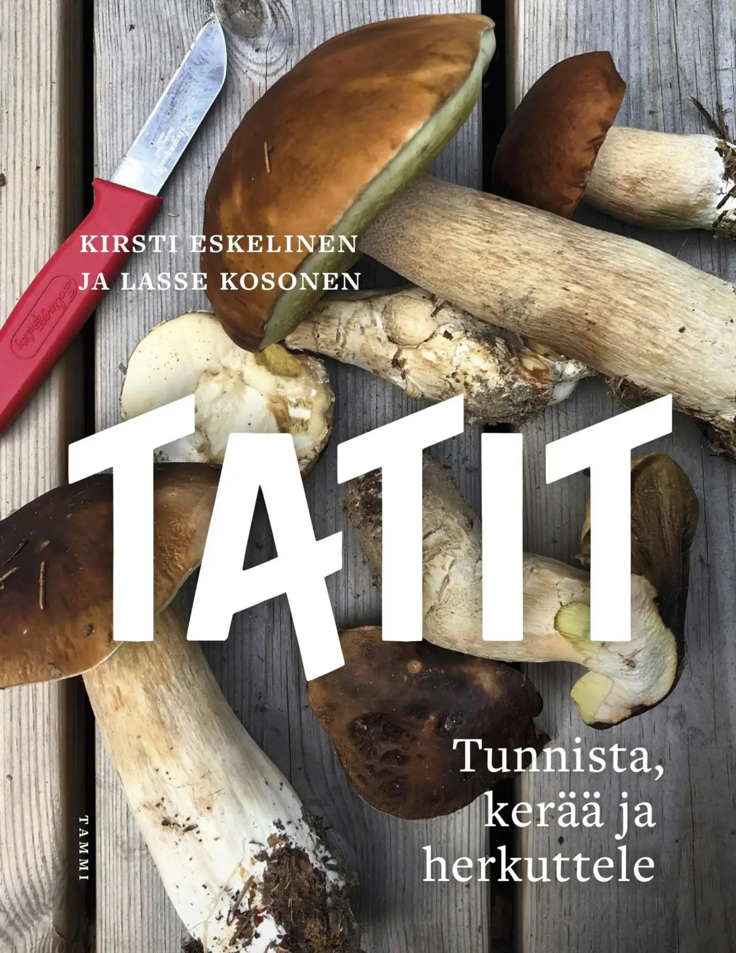 Kosonen, Tatit - Tunnista, kerää ja herkuttele