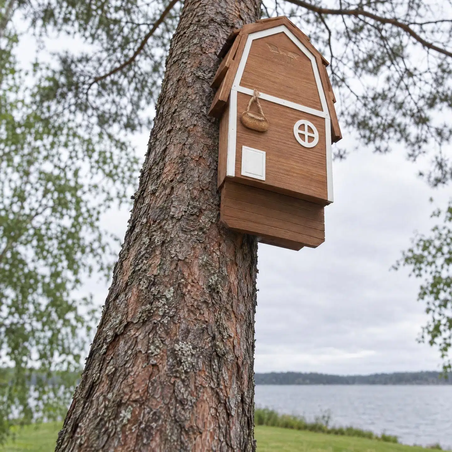 WildYard Big Bat Barn Junior lepakkopönttö, 2 kammiota, setripuu, ruskea - 2