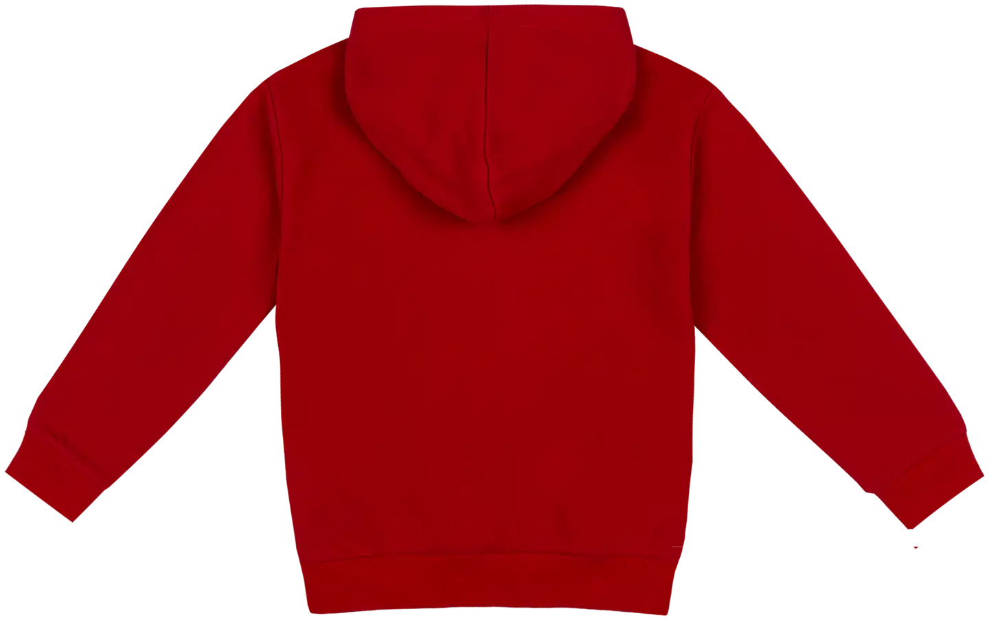 Ciraf lasten huppari plane 25pc261115 - 18-1657TCX SALSA - 2