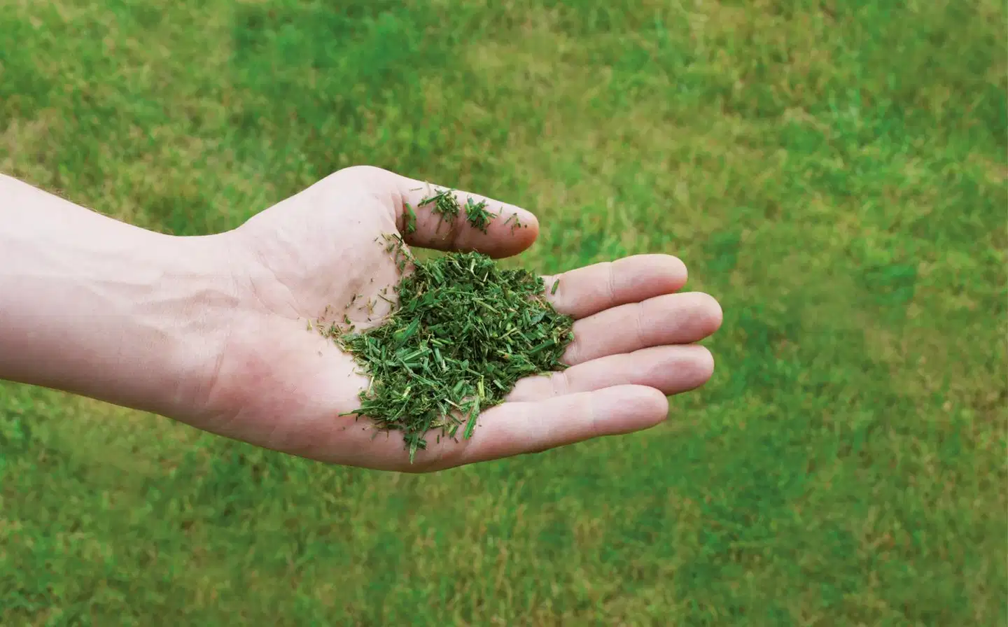 Einhell polttomoottorikäyttöinen ruohonleikkuri GC-PM 51/3 S HW - 3