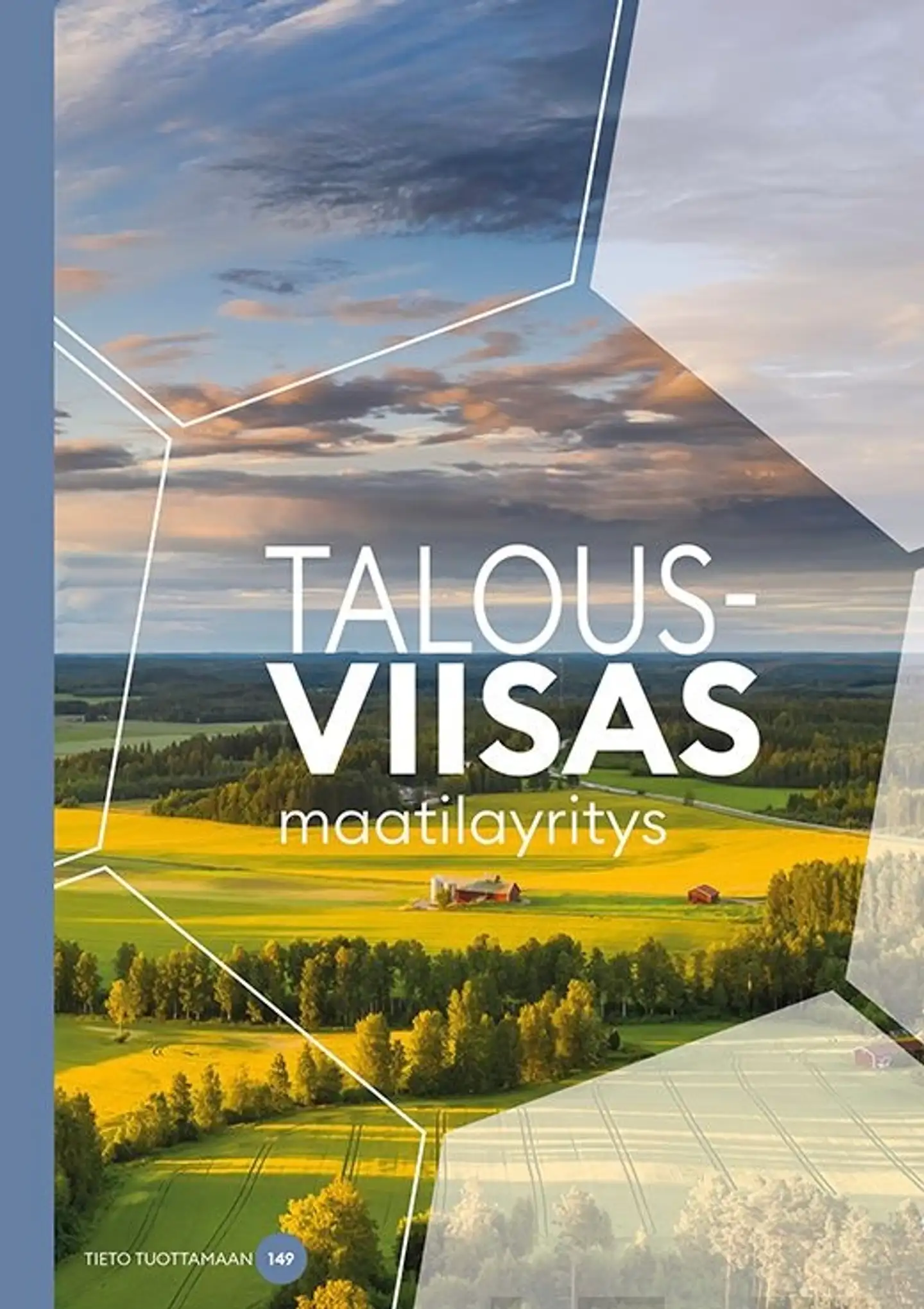 Nopanen. Ari, Talousviisas maatilayritys