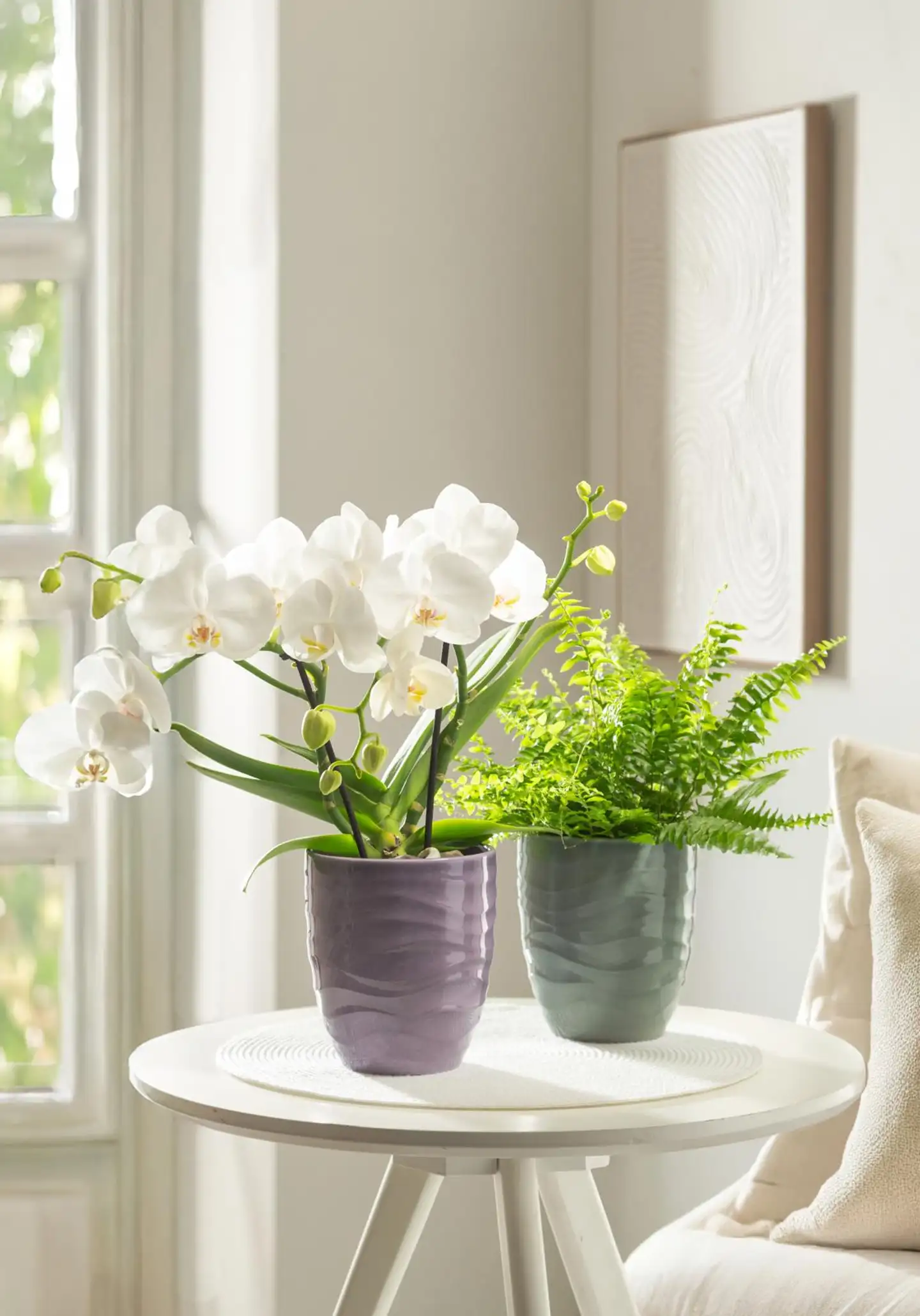 Scheurich orkidearuukku 689 15cm lila - 4