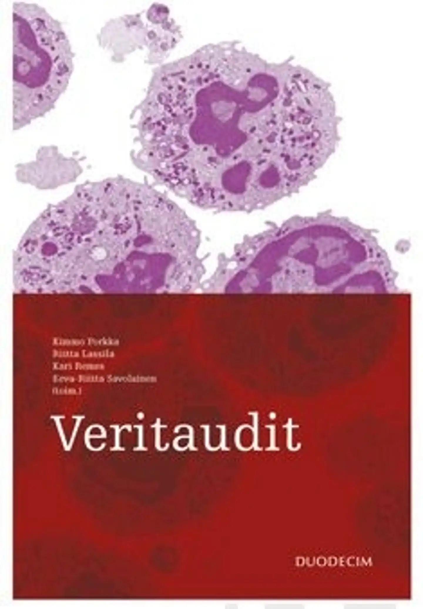 Veritaudit