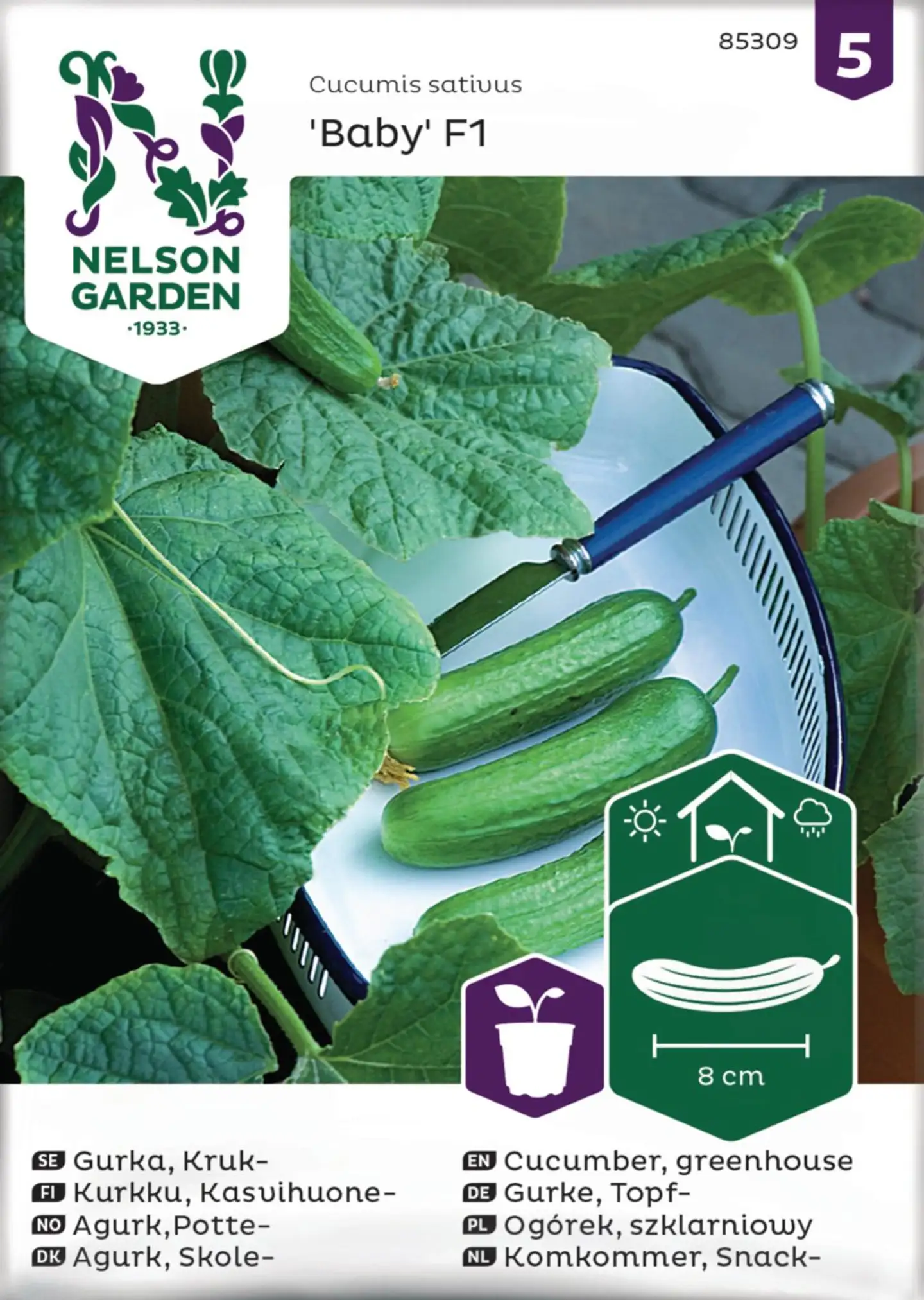 Nelson Garden Siemen  Kurkku, Kasvihuone-, Baby F1