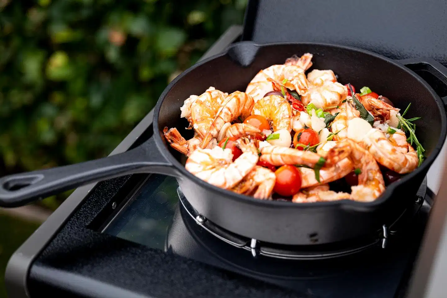 Napoleon valurautapannu 24 cm - 4