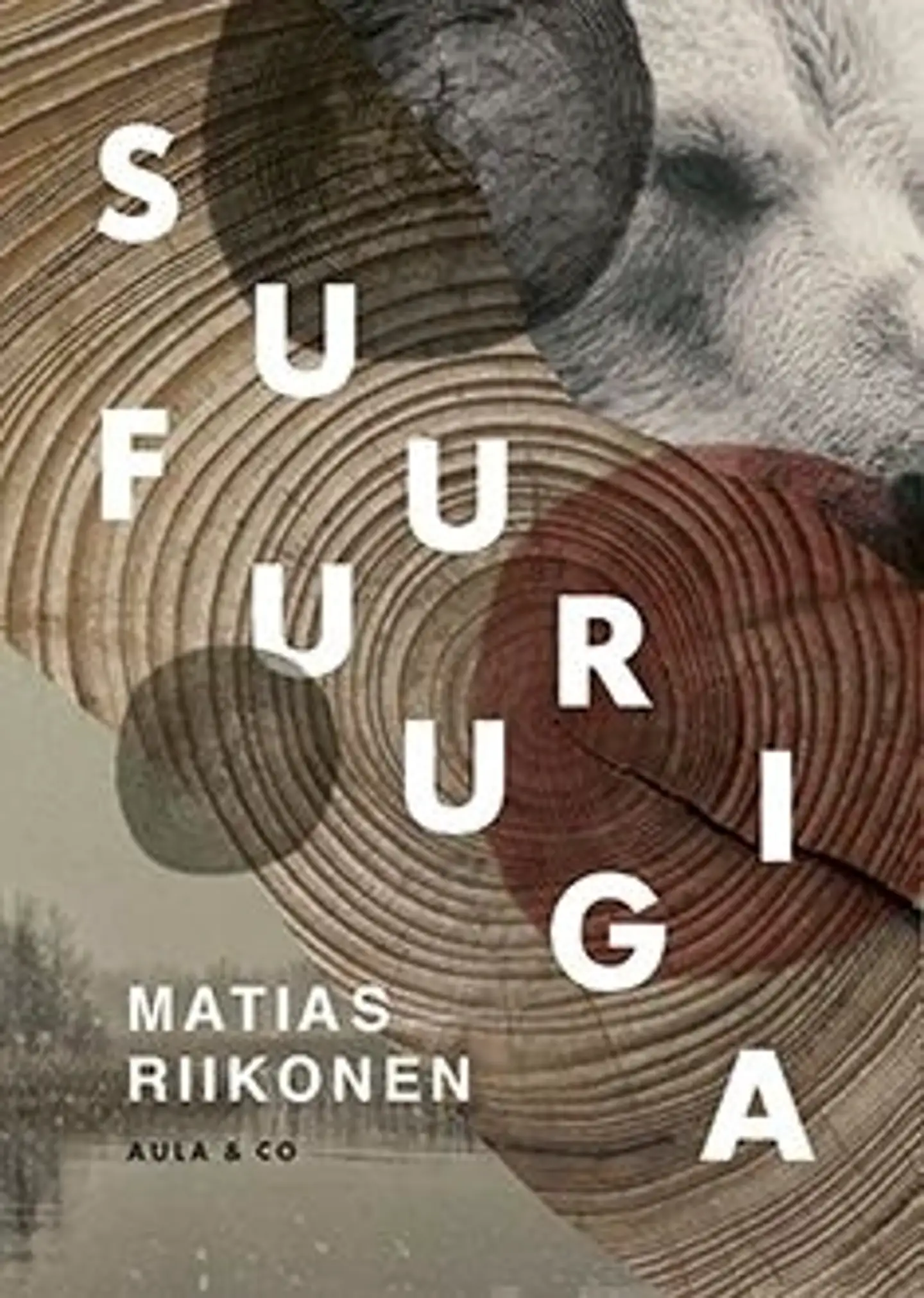 Riikonen, Suuri fuuga