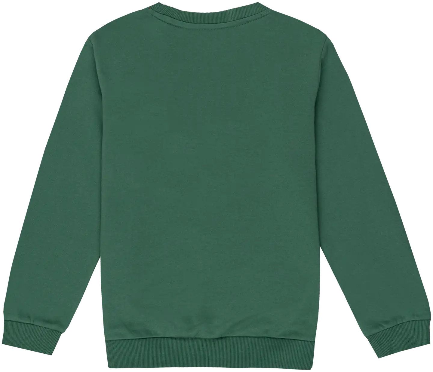 Stitch nuorten jouluinen collegepusero LS20012 - Green - 2