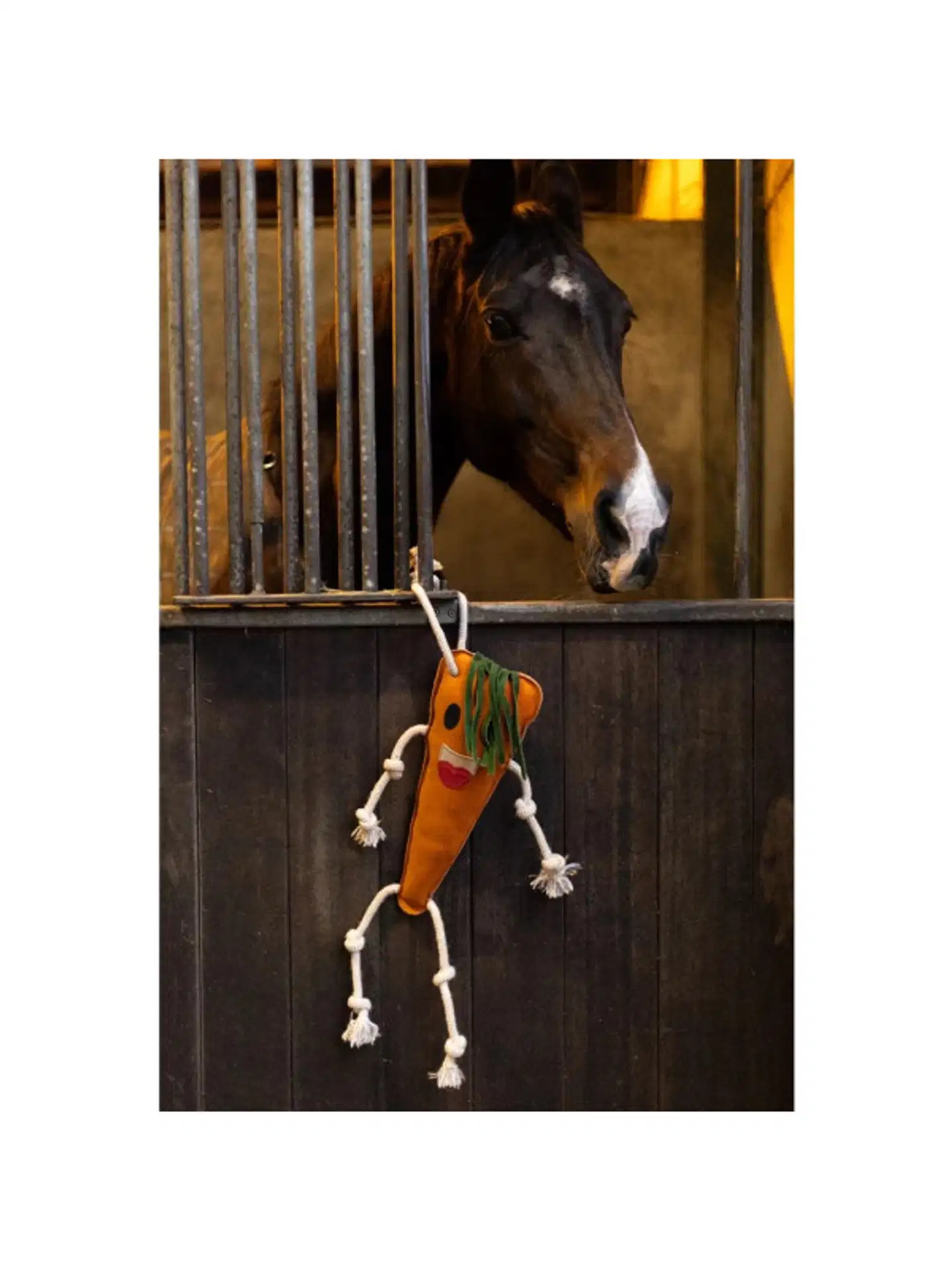 Excellent horse foodie friends heppalelu - 2