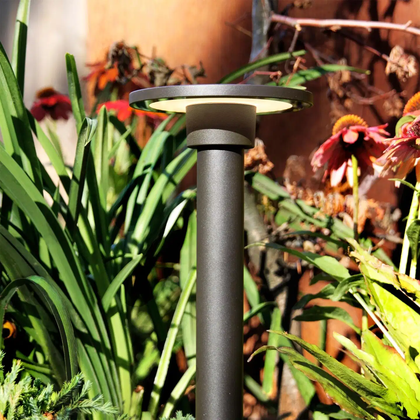 LightsOn pollari Orbit - 1