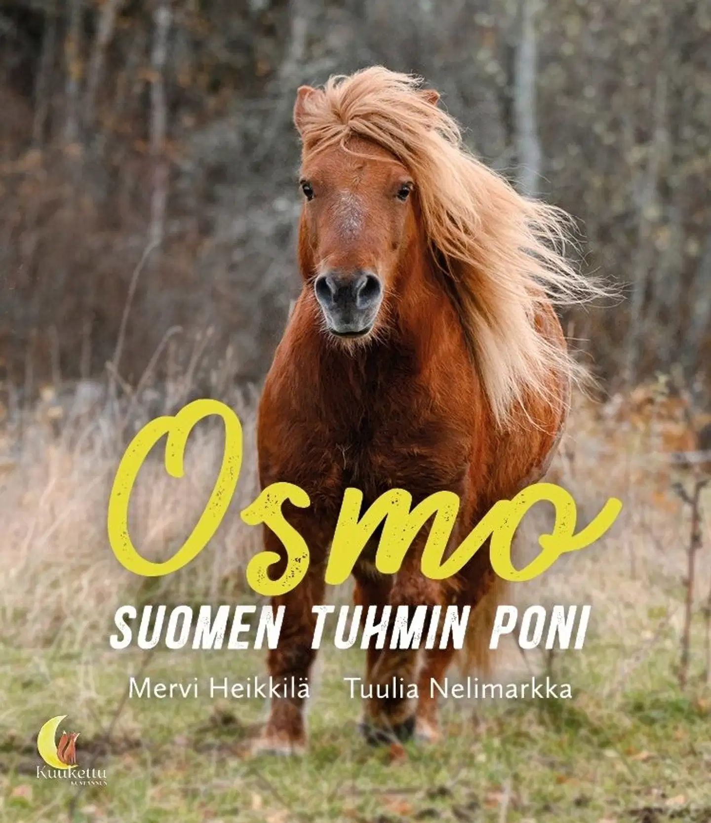 Heikkilä, Osmo, Suomen tuhmin poni