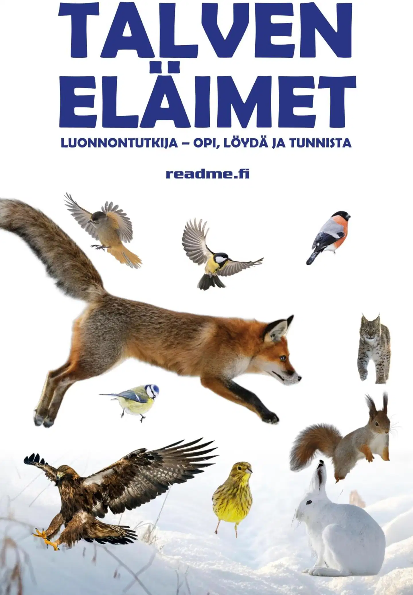 Ovaskainen, Talven eläimet luonnontutkija - Opi, löydä ja tunnista