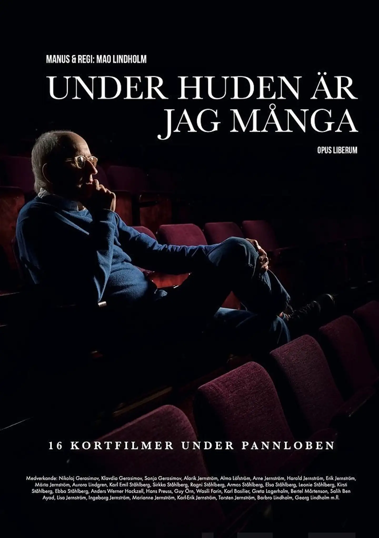 Lindholm, Under huden är jag många - Sexton kortfilmer under pannloben