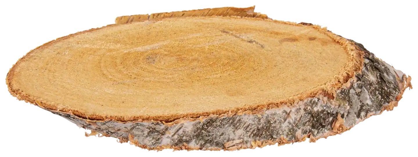 Rayher Hobby koivuviipale soikea naturaalinen, korkeus 21-23cm x 10cm x 2cm, laukku 1kpl - 2