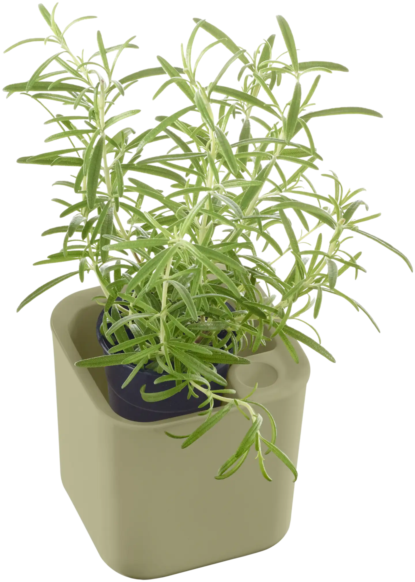 Orthex yrttiruukku Eden Recycled 12x12 cm