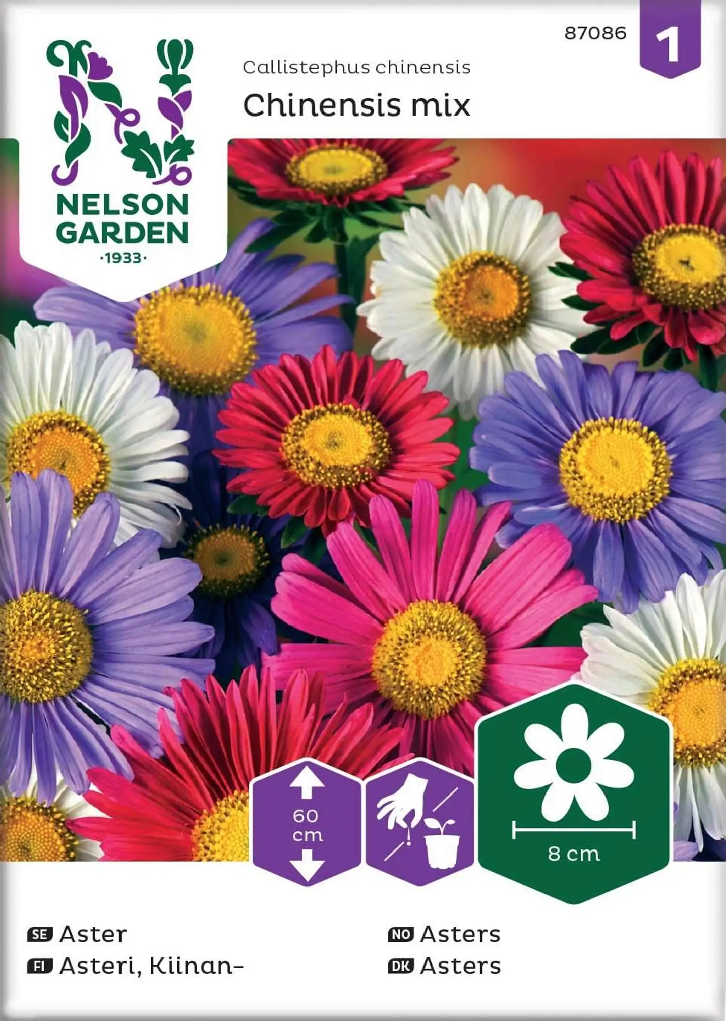 Nelson Garden Siemen Asteri, Kiinan-, Chinensis, väriseos