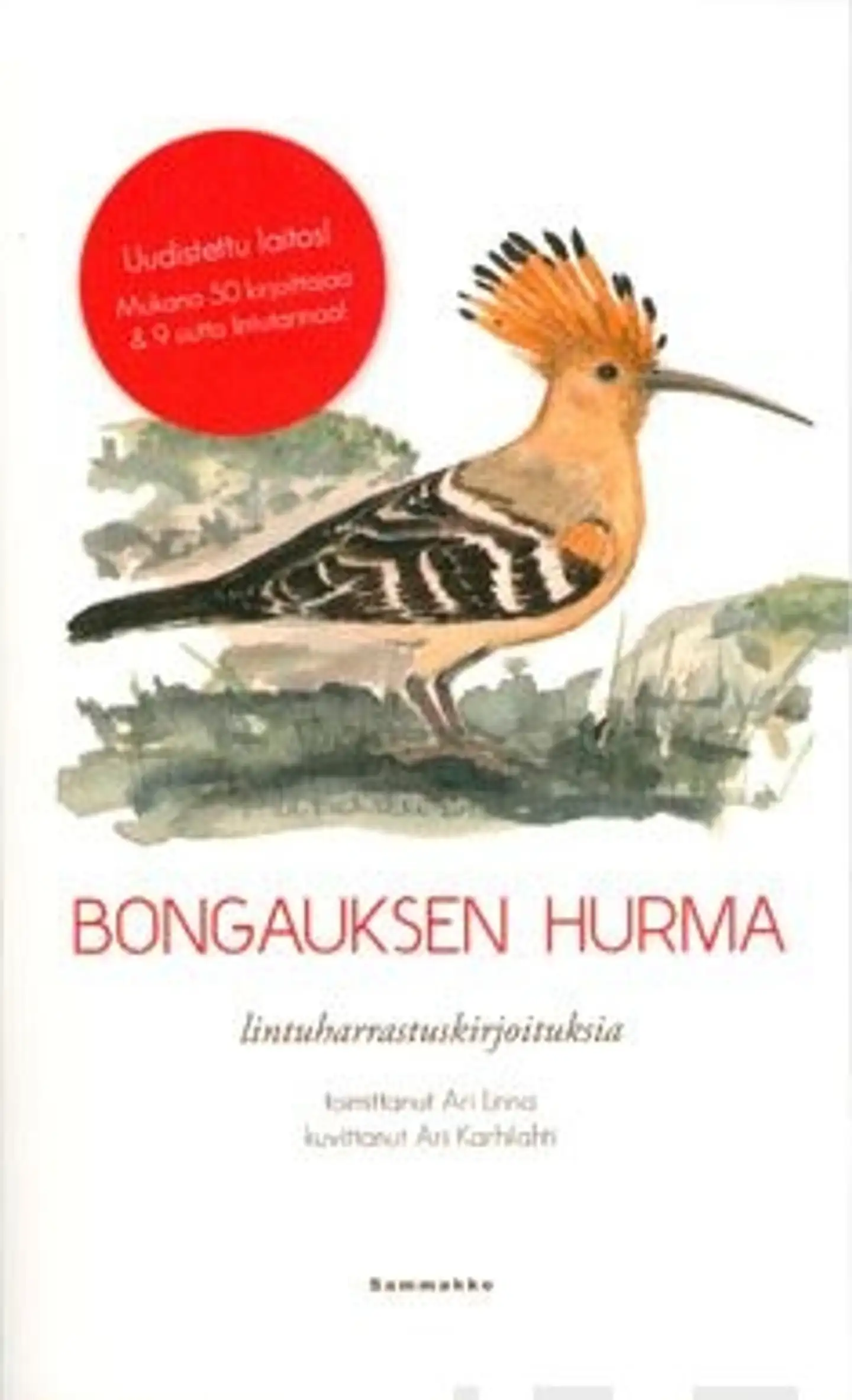 Bongauksen hurma - lintuharrastuskirjoituksia