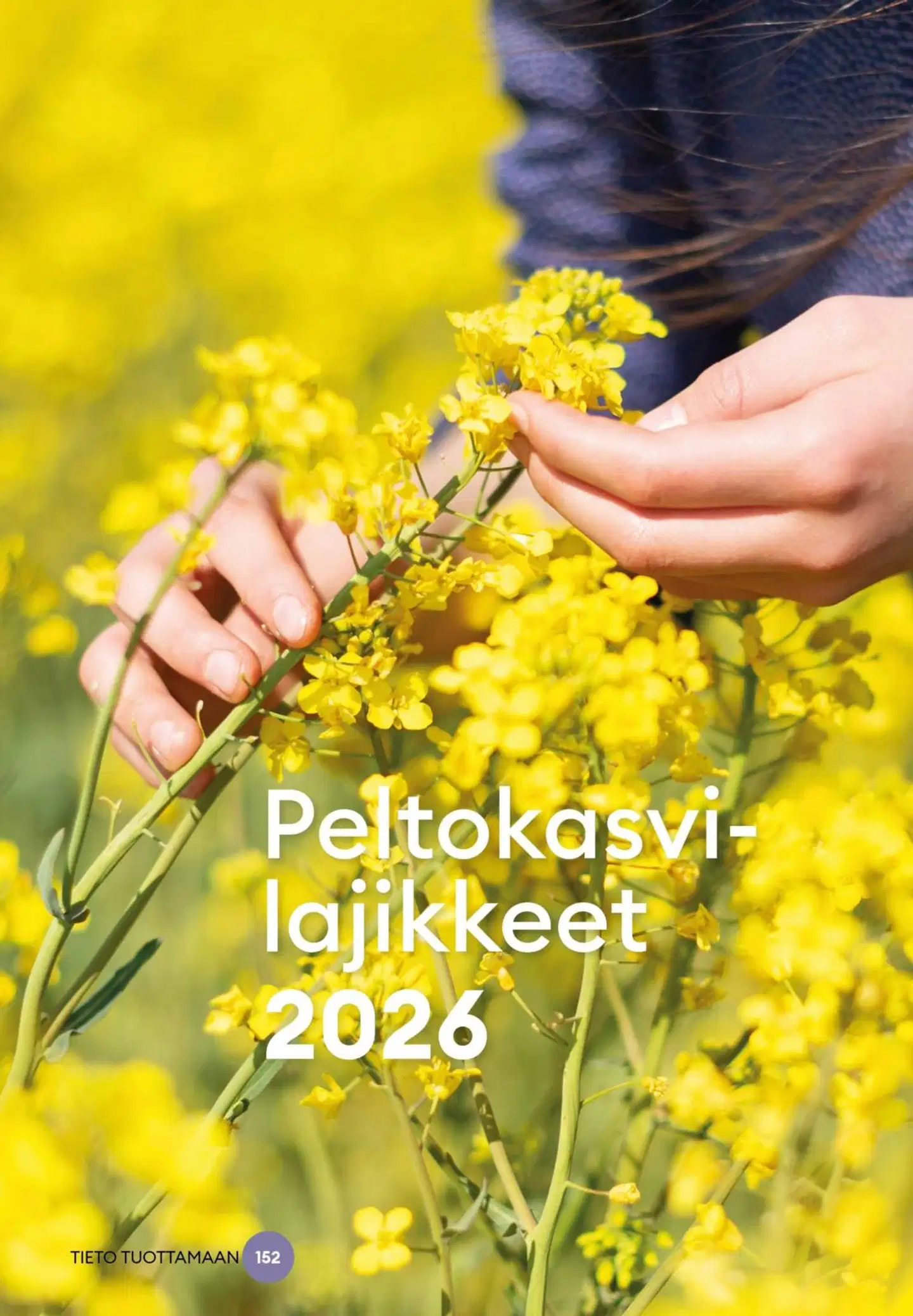 Peltokasvilajikkeet 2026