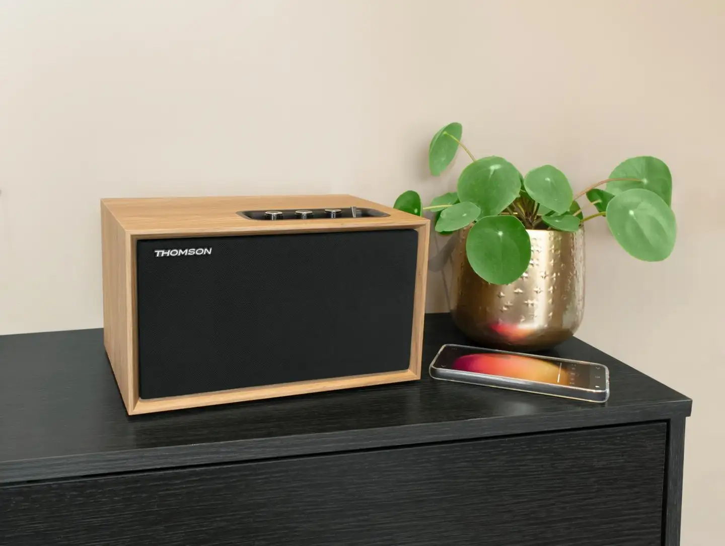 Thomson Bluetooth stereokaiutin WS302 puu - 8