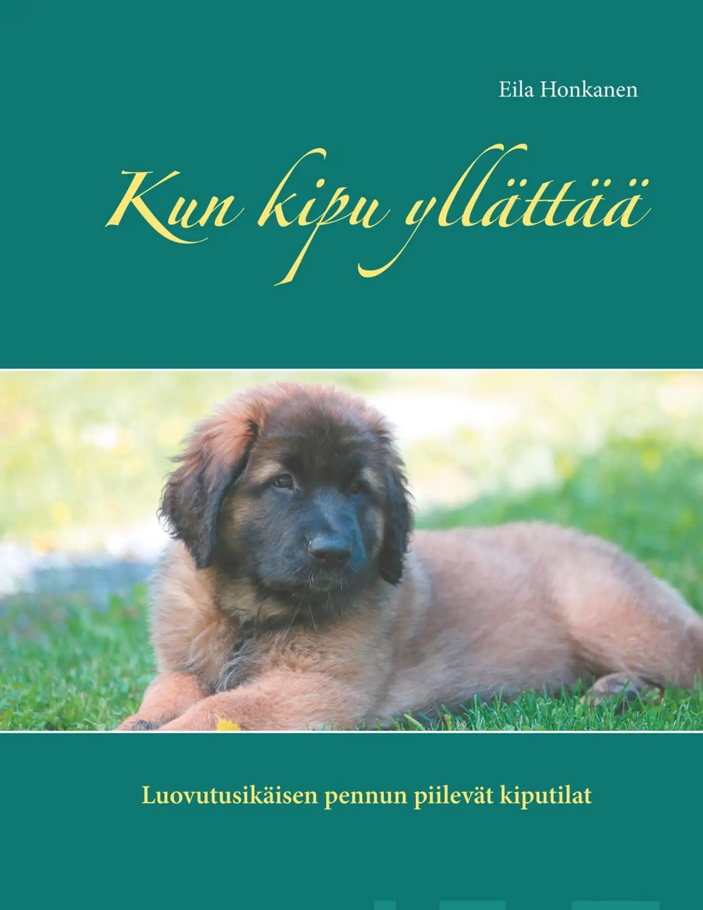 Honkanen, Kun kipu yllättää - Luovutusikäsen pennun kiputilat