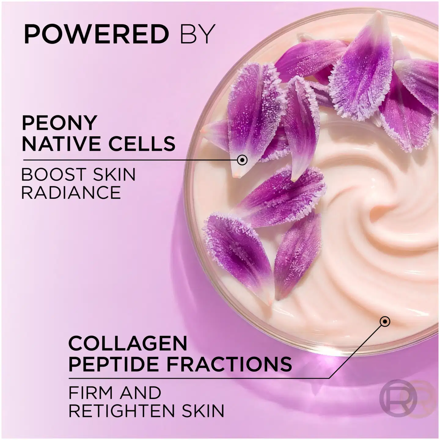 L'Oréal Paris Age Perfect Rosy Glow yövoide normaalille iholle 50 ml - 6