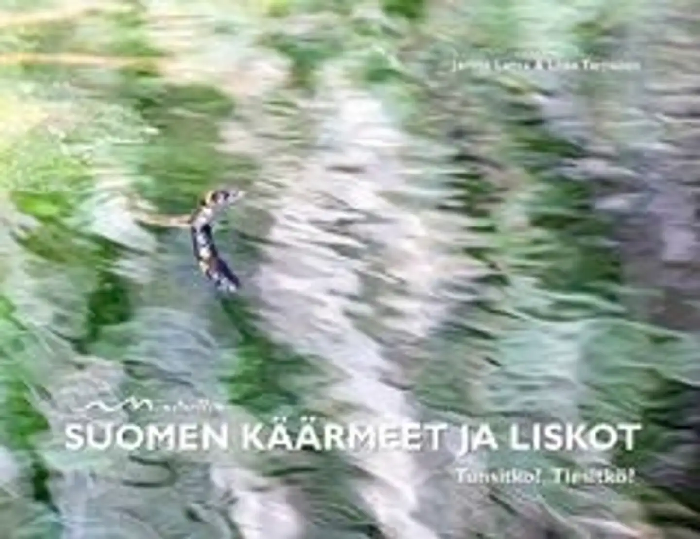 Latva, Suomen käärmeet ja liskot - Tunsitko? Tiesitkö?