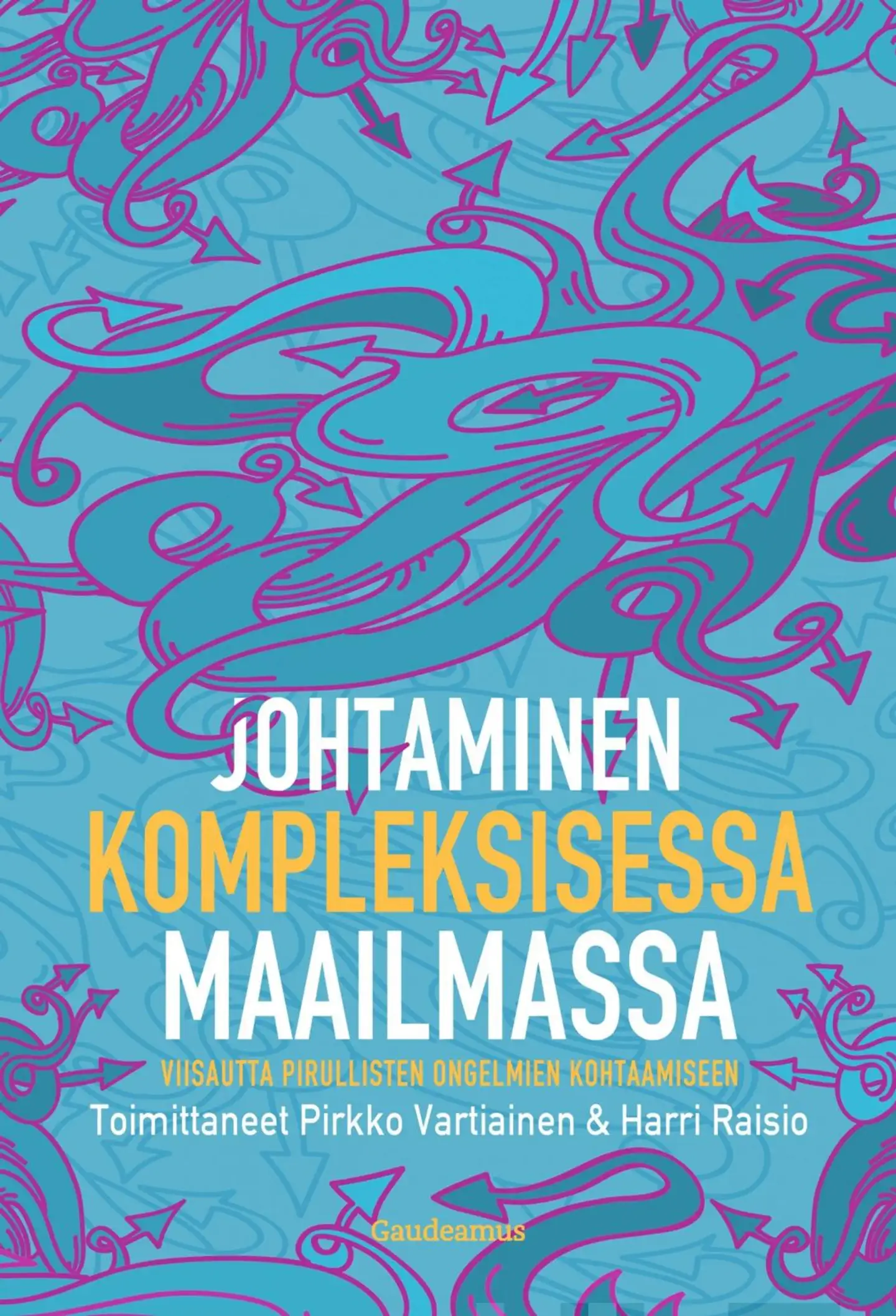 Johtaminen kompleksisessa maailmassa - Viisautta pirullisten ongelmien kohtaamiseen