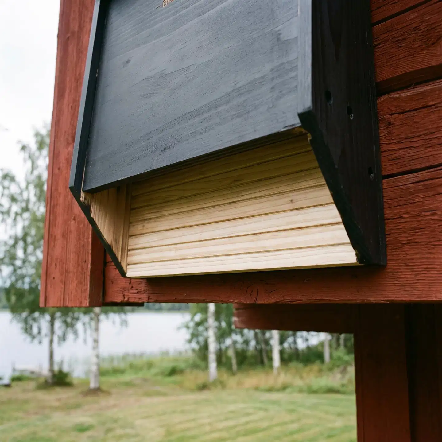 WildYard Big Bat Box lepakkopönttö, 2 kammiota, setripuu, musta - 6