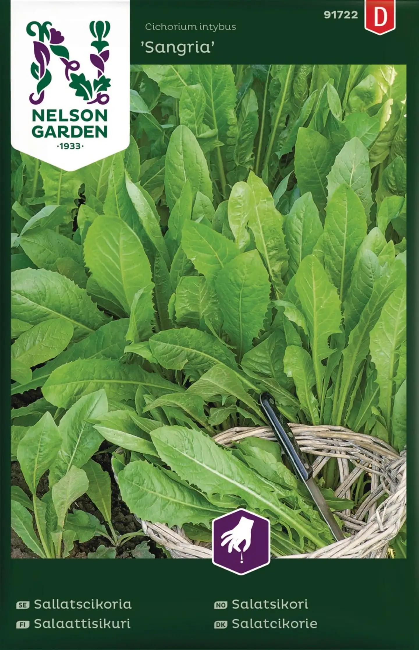 Nelson Garden Sallatscikoria, Sangria