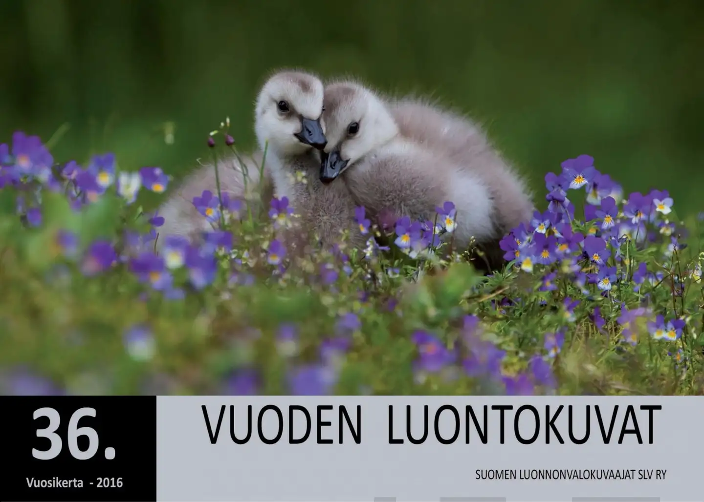Vuoden luontokuvat 2016
